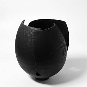 Bloom by Andreas Krätschmer 