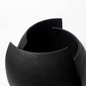 Bloom by Andreas Krätschmer 