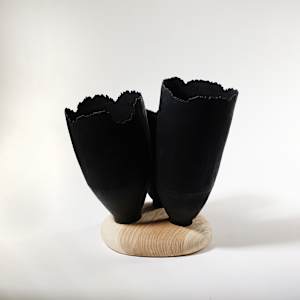 Blooming through adversity by Andreas Krätschmer 