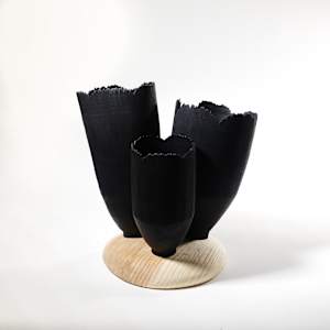 Blooming through adversity by Andreas Krätschmer 