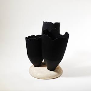 Blooming through adversity by Andreas Krätschmer 