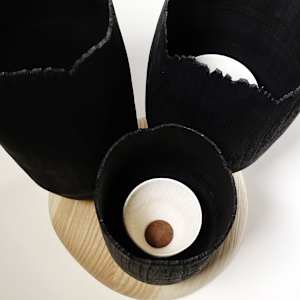 Blooming through adversity by Andreas Krätschmer 