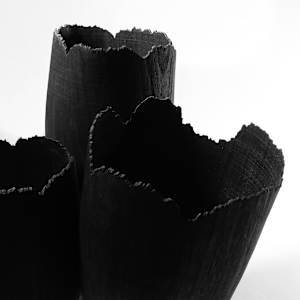 Blooming through adversity by Andreas Krätschmer 