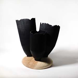 Blooming through adversity by Andreas Krätschmer 