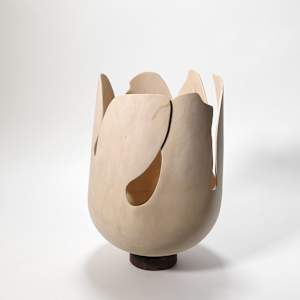 Blooming from within by Andreas Krätschmer 