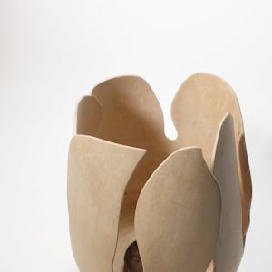 Blooming from within by Andreas Krätschmer 