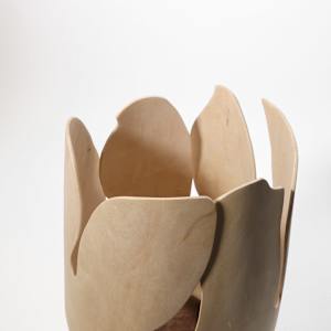 Blooming from within by Andreas Krätschmer 