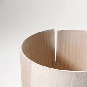 Torn by Andreas Krätschmer 