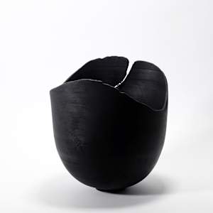 Silver Maple Chronicles - 1 - Fire by Andreas Krätschmer 