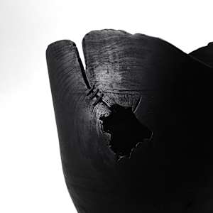 Silver Maple Chronicles - 1 - Fire by Andreas Krätschmer 