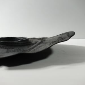 Burned platter, Image 3.