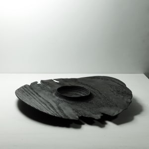 Burned platter, Image 2.