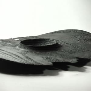 Burned platter, Image 1.