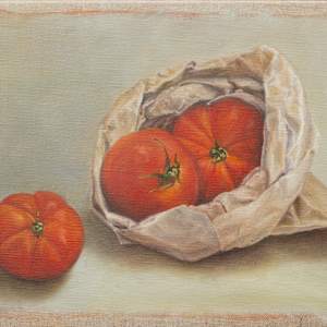 In the Bag by Kirsten Hocking, Image 1.