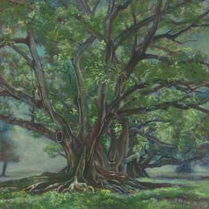 Old Friends Whispering Stories in the Sun by Kirsten Hocking