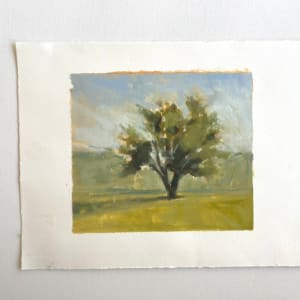tree study by Christen Yates