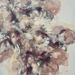 tulip magnolia study in blush by Christen Yates 