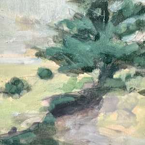 Crane Beach tree by Christen Yates 