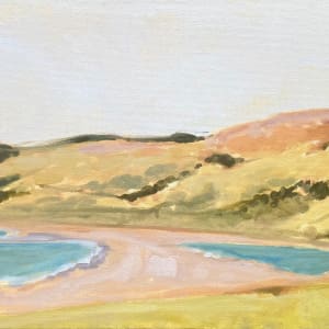 sonoma coast II
