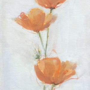 California poppies