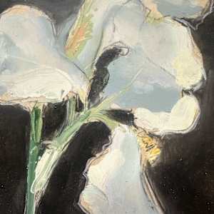 White iris by Christen Yates 