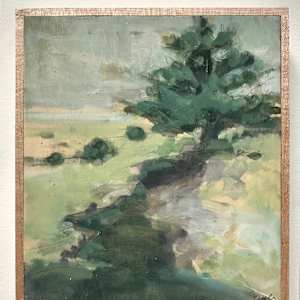 Crane Beach tree by Christen Yates 