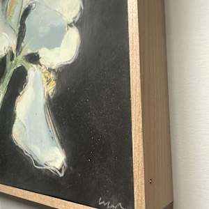 White iris by Christen Yates 
