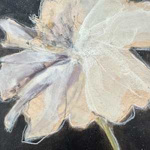 Brooke's peony by Christen Yates 