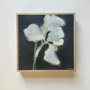 White iris by Christen Yates, Image 4.