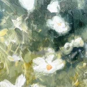 If we could blossom out of ourselves (Cosmos) by Christen Yates 