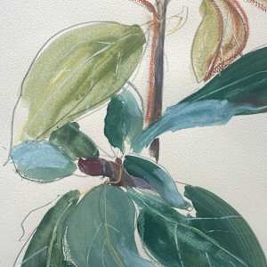 magnolia study by Christen Yates, Image 3.