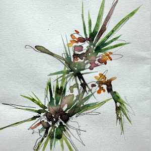 eastern white pine by Christen Yates, Image 1.