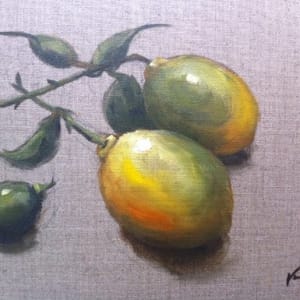 Study of Lemons from life by Vanessa Rothe