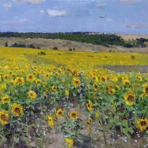 Sunflowers by Andrey Jilov