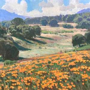 California Poppies by Ray Roberts