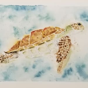 Turtle by Brennan Flach