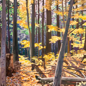 Yellow Fall, Dundas Valley Conservation Area by Lynne Ryall