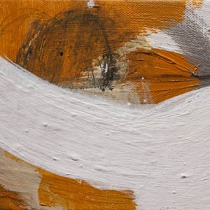 Dissonance by Megan Chapman