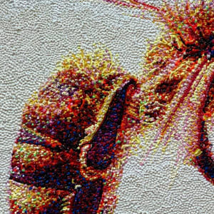 Plan B by Lisa Alonzo 