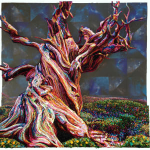 Methuselah 2 by Lisa Alonzo, Image 6.