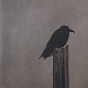 Still life with Raven by Unai San Martin