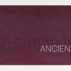 Horizon: Ancient and Young Observer (V.2) by Marie Watt