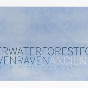 Horizon: Ancient and Young Observer (V.1) by Marie Watt