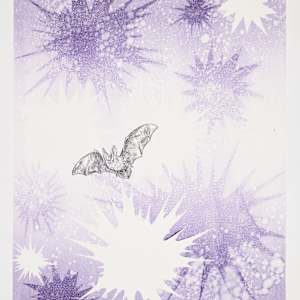 Nocturne #6 (Townsend's big-eared bat) by Kara Maria