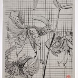 Tiger Lily by Storm Tharp