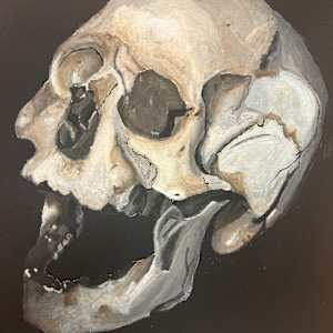 Skull by Zella Niupalau