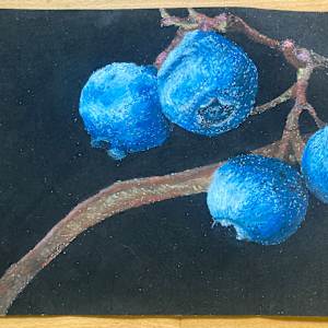 Blueberries at Night by Lucy Johnson
