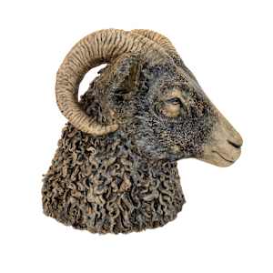 Ram by Ludovica Briscoe