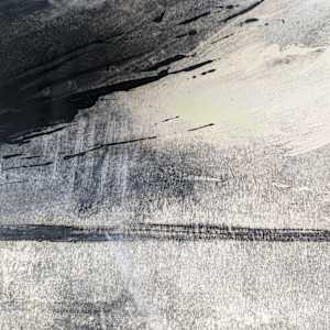 Last of the Land by Ruth Ander 