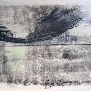 Last of the Land by Ruth Ander 